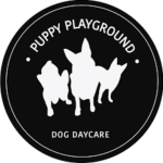 Profile picture of Puppy Play Ground